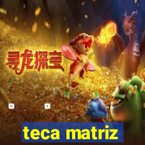 teca matriz